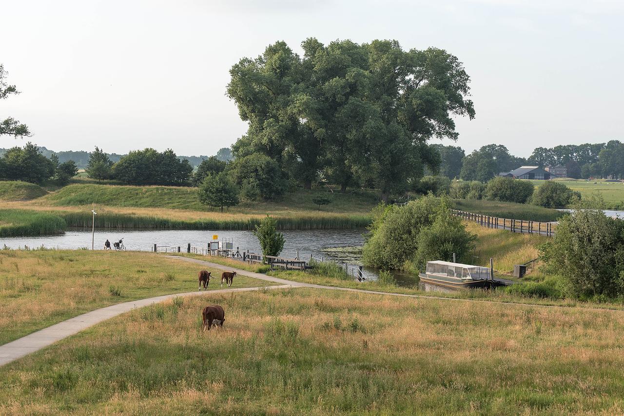 Natuur Camping De Zwiese — photo 2
