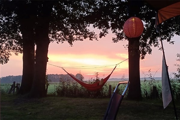 Camping de Zwiese natuur